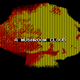 Illustration for article titled Donkey Kong 3 On PC Was On Some Shit